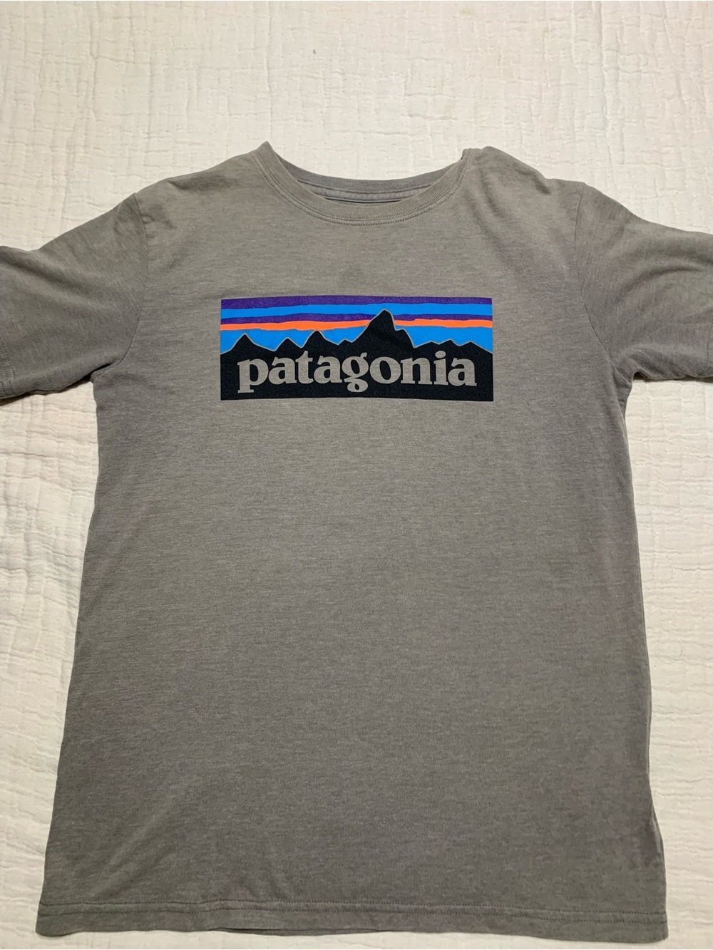Patagonia Gray Crew Tee with Multicolor Mountain Logo